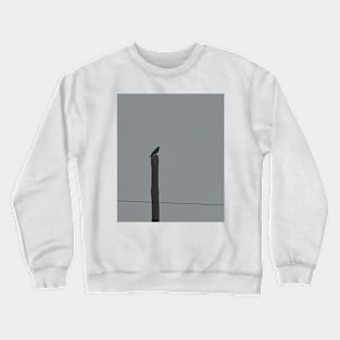 DARKbird Crewneck Sweatshirt